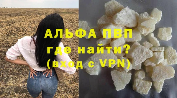стаф Киренск