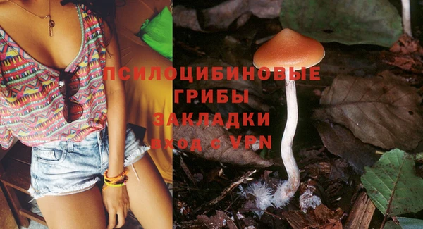 амф Кинешма