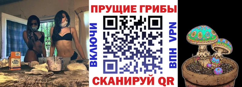 как найти закладки  Красавино  Псилоцибиновые грибы MAGIC MUSHROOMS 